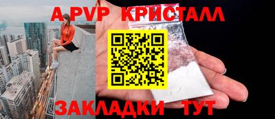 стаф Новокубанск